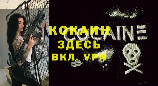 гашик Богородск